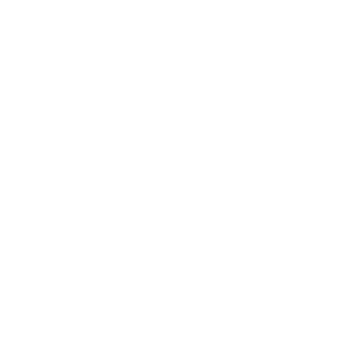 pin (1)